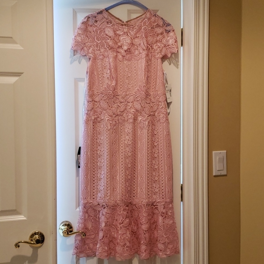 Tadashi Shoji NWT Floral Lace Pink Dress